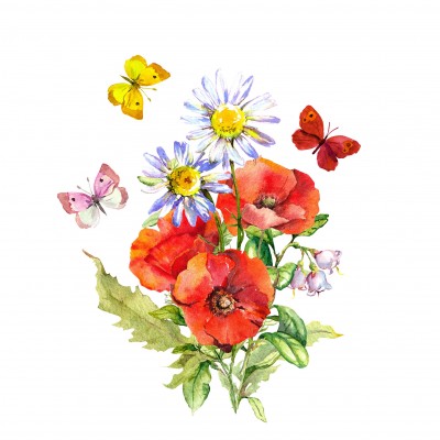 SERVETELE 33X33 CM - WILD POPPY