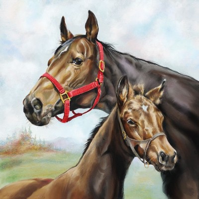 Servetele 33X33cm - Horse Love