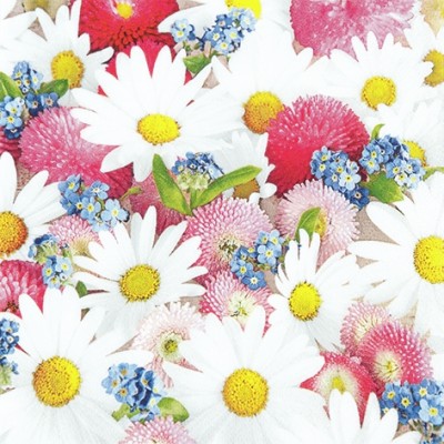 Flower Carpet - Servetele 33x33 cm 