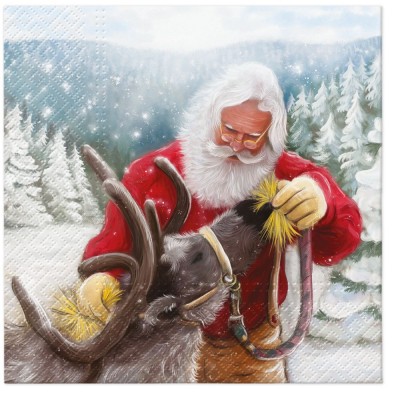 SERVETELE 33X33CM - FEEDING THE REINDEER