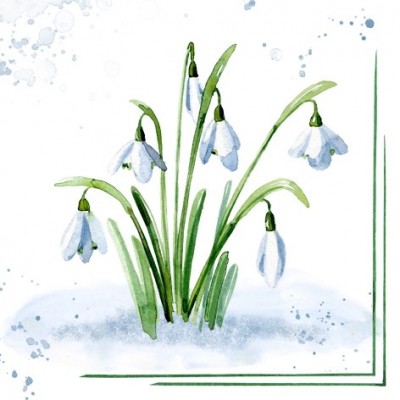 SERVETELE 33X33CM - SNOWDROPS