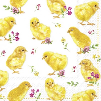 SERVETELE 33X33CM - CHICKS